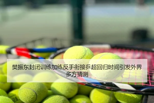 樊振东封闭训练加练反手衔接乒超回归时间引发外界多方猜测